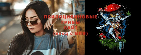 ГАЛЛЮЦИНОГЕННЫЕ ГРИБЫ Абдулино