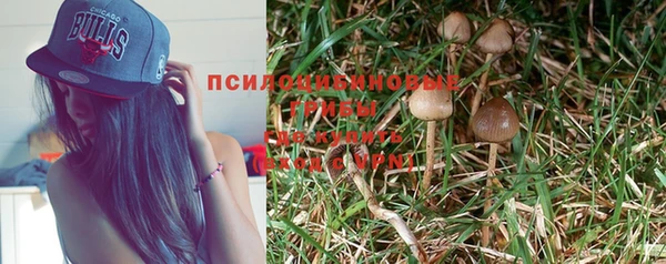 ГАЛЛЮЦИНОГЕННЫЕ ГРИБЫ Абдулино