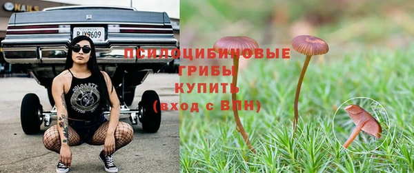 ГАЛЛЮЦИНОГЕННЫЕ ГРИБЫ Абдулино